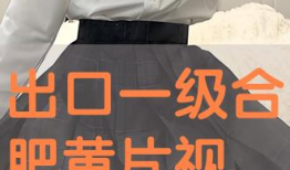 毛片视频观看,一场视觉与道德的较量